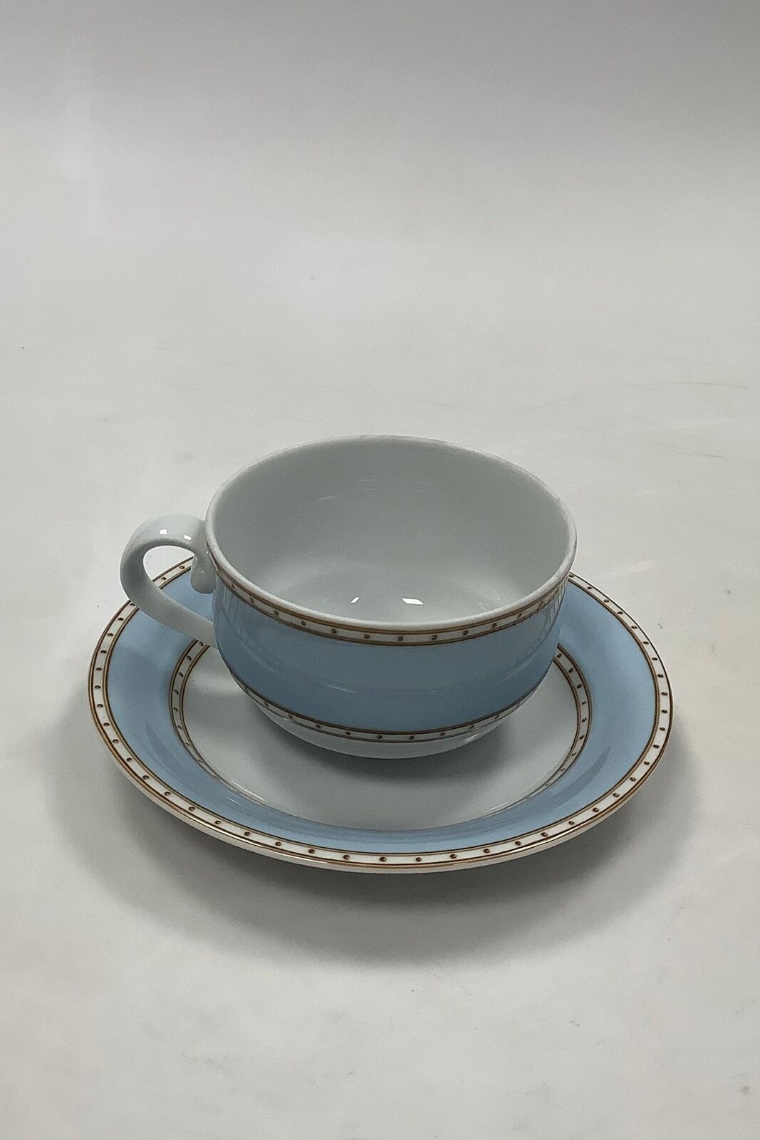 Royal Copenhagen Liselund Teacup and Saucer No 081/073