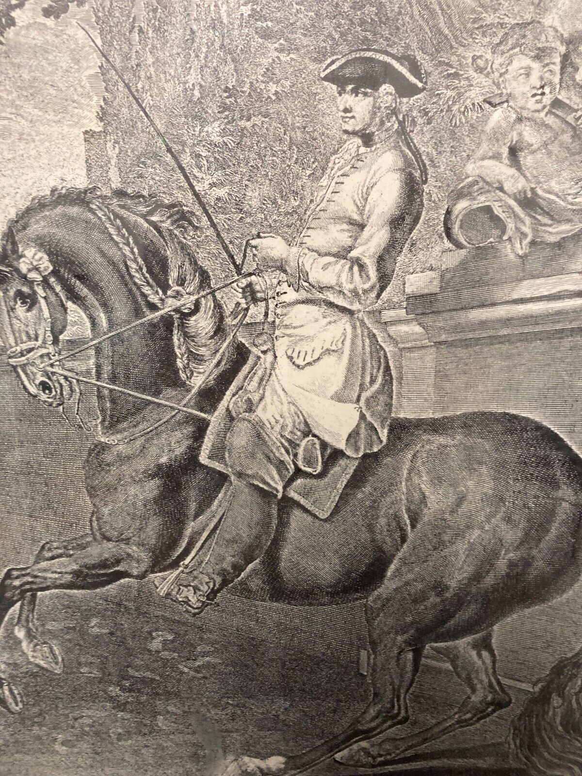 Johann Elias Ridinger Parade du cheval trottant à gauche L46cm H65 Glass Framed