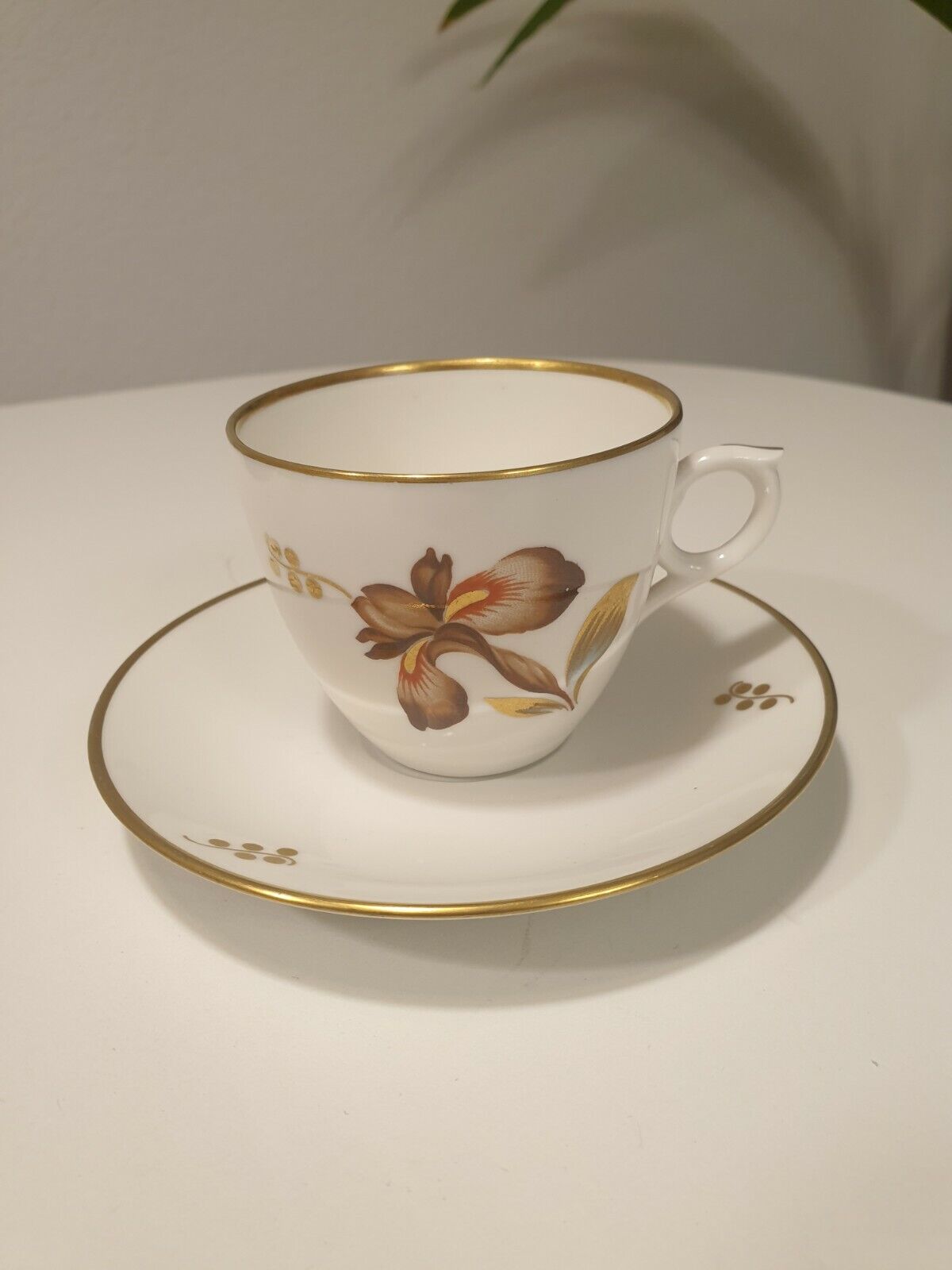 ROYAL COPENHAGEN Brown Iris cup and saucer BEST QUALITY