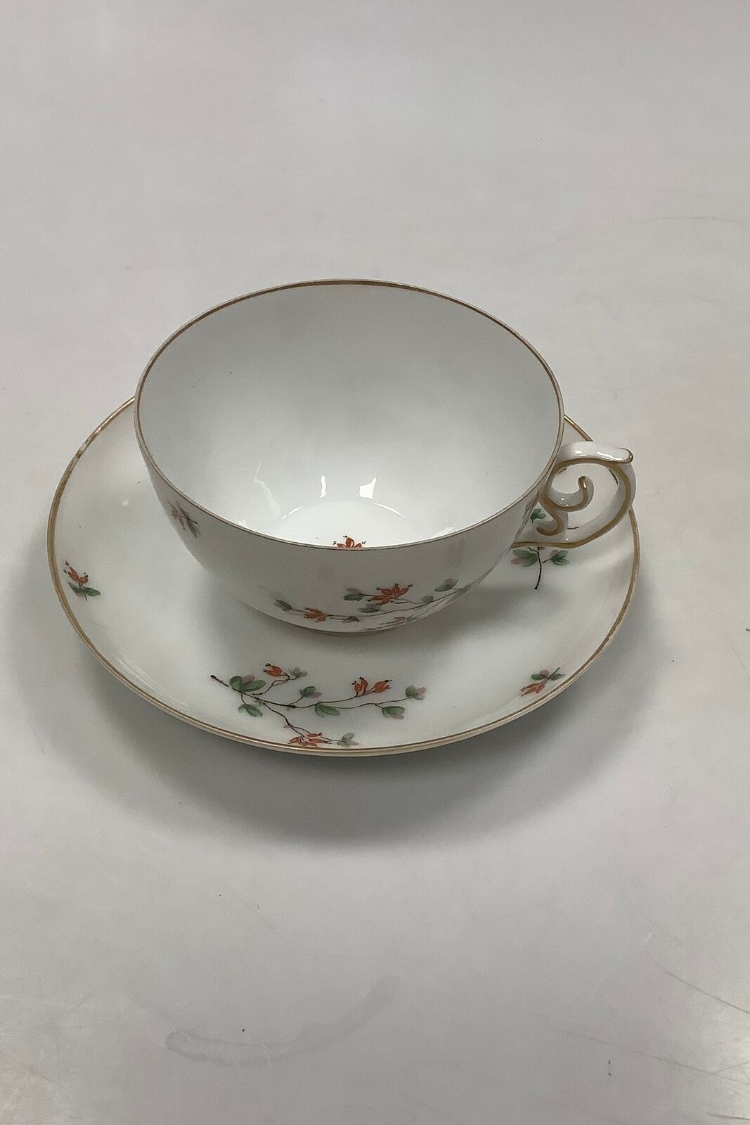 Royal Copenhagen Berberis Large Teacup with saucer