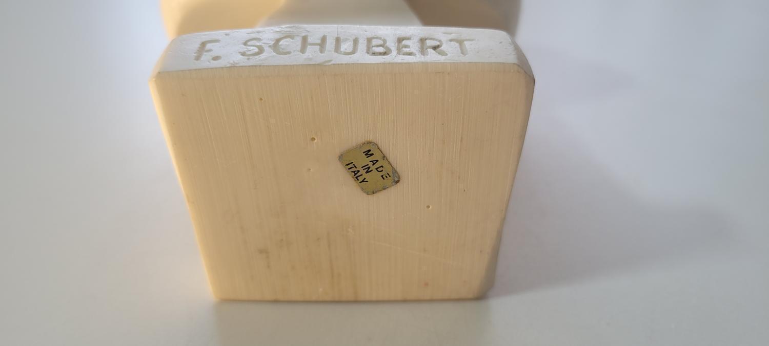 Bust "Franz Schubert" art pulp Italy