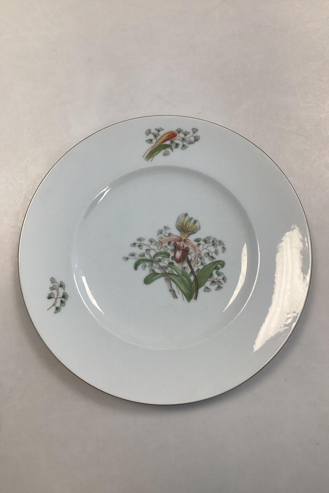 Bing and Grondahl Fruesko Dining Plate No 25