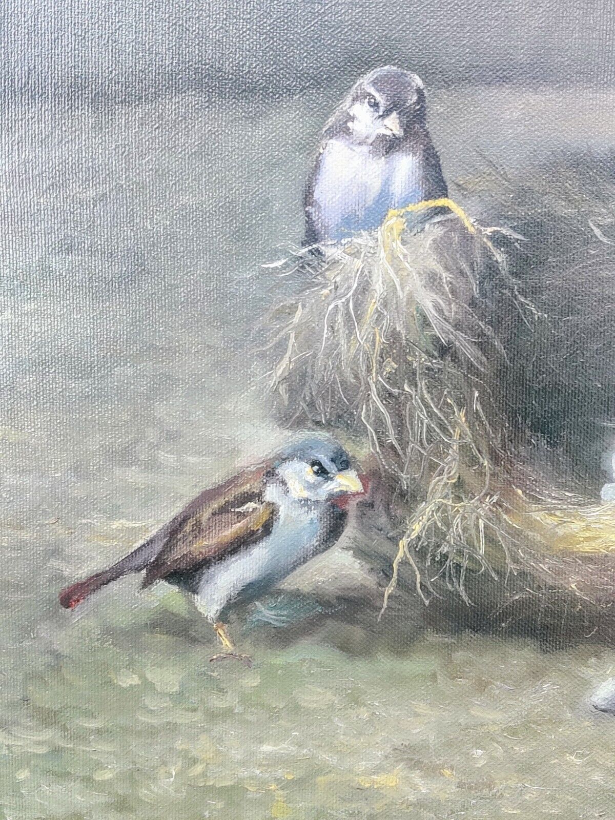 TWO SPARROWS AND THEIR NEST PROBLEM original oil painting