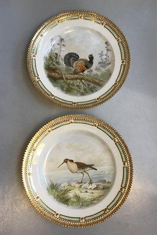 Royal Copenhagen Flora Danica/Fauna Danica Animal Luncheon Plates No 240/3550