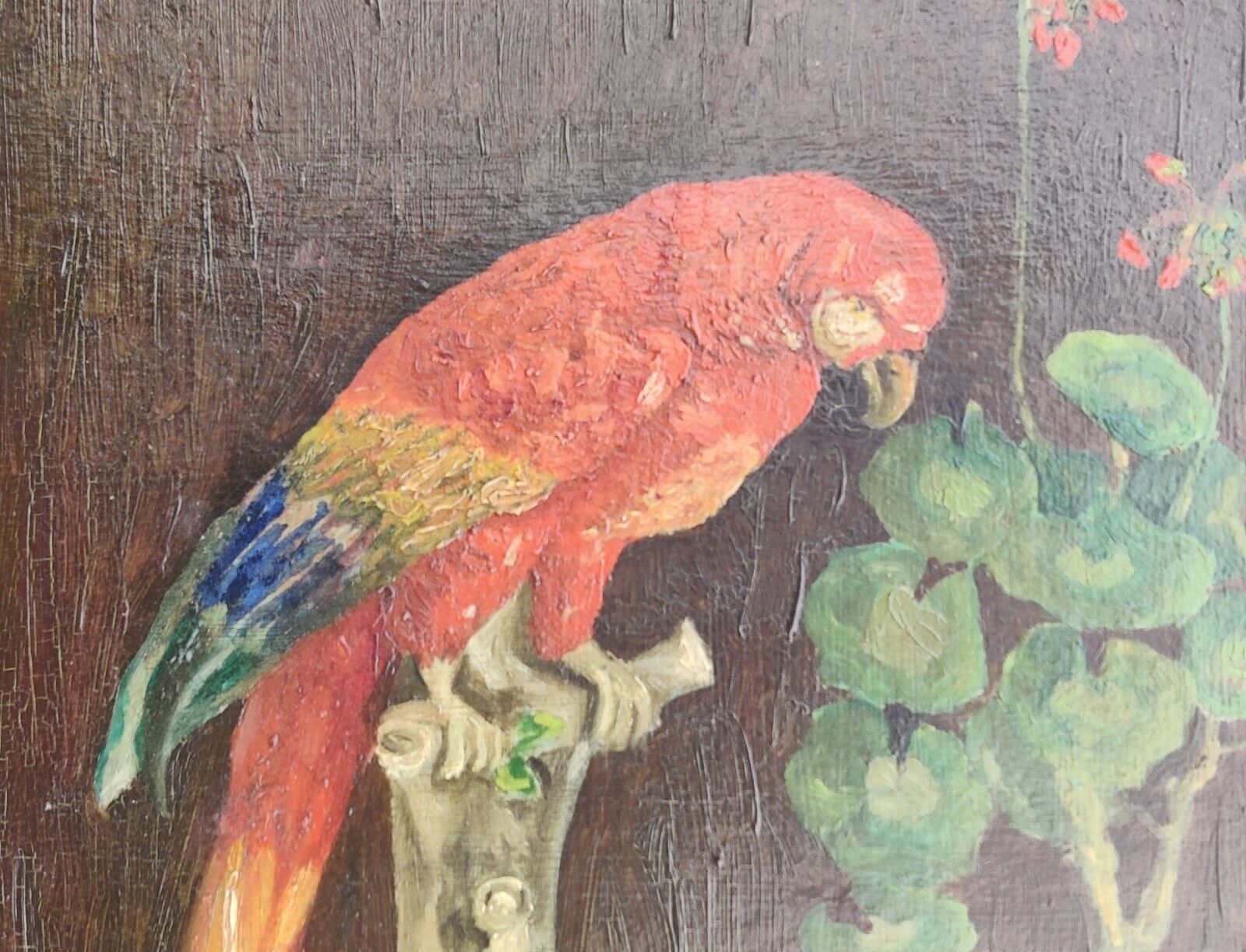 STILL LIFE WITH A PARROT AND GERANIUM POT Original oil painting Dated 1928