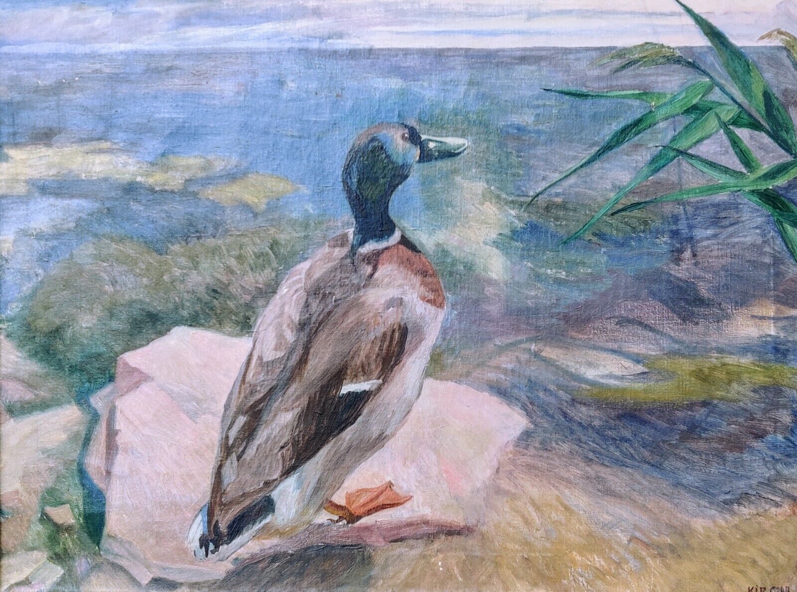 Agnete Kip Glob (1899-1954): DRAKE MALE DUCK