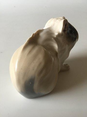 Royal Copenhagen Figurine of Guinea pig No 503