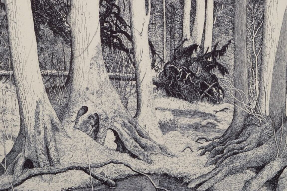 Eva Holmén-Edling (1942) Swedish artist Woodcut on Japan paper Forest scene