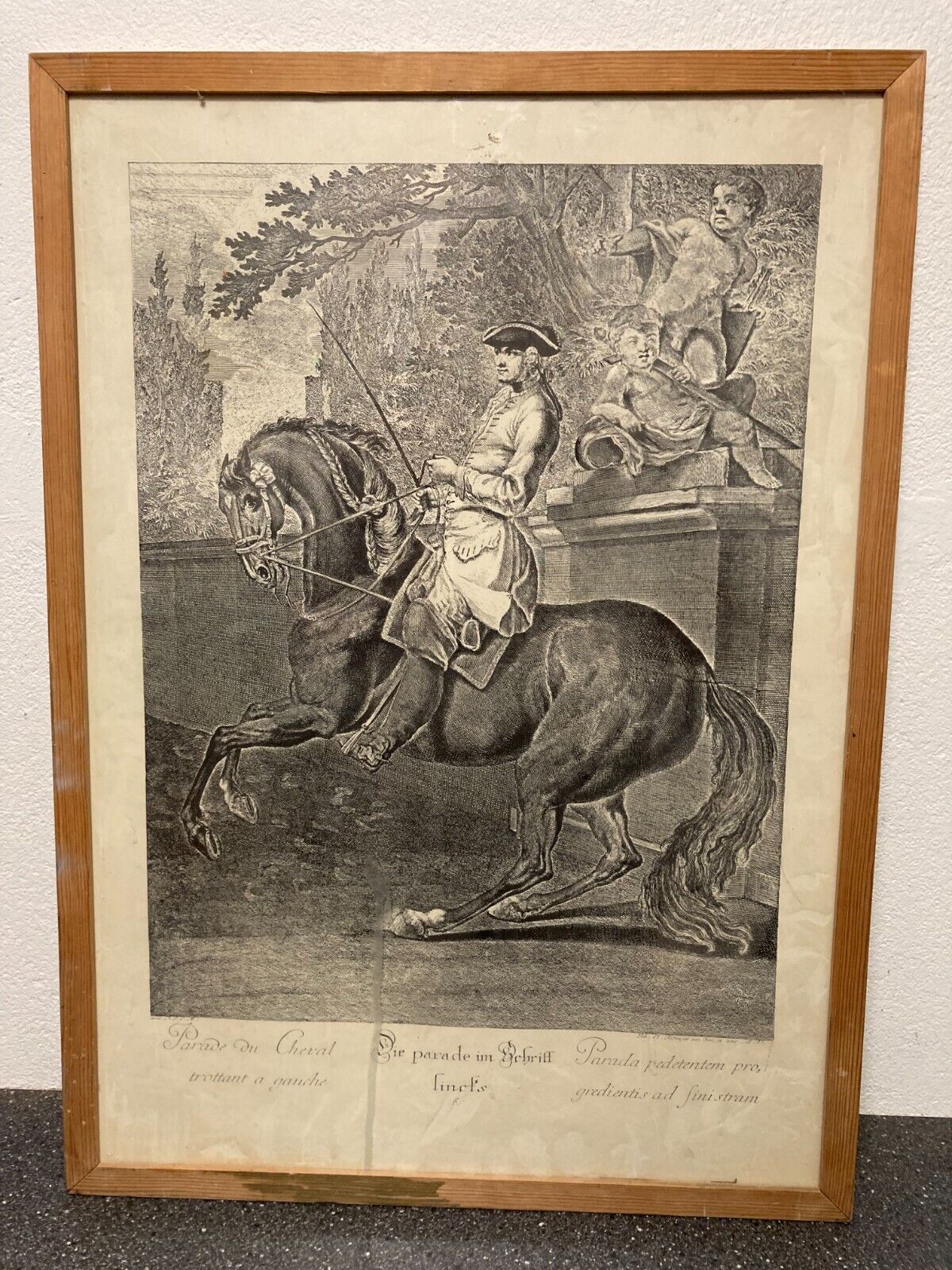 Johann Elias Ridinger Parade du cheval trottant à gauche L46cm H65 Glass Framed