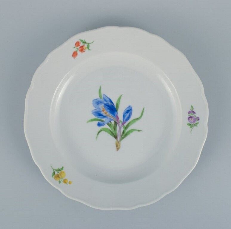 Meissen Germany five dinner plates hand-painted with floral motifs