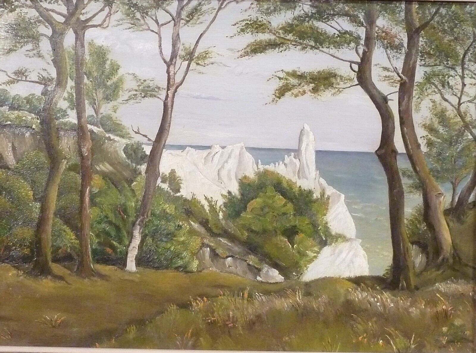 Elisabeth jensen! Scenery with the white cliff of moen - DK