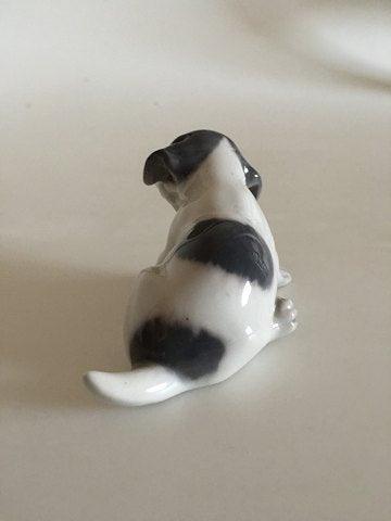 Royal Copenhagen Figurine Pointer Puppy No 1311 pre 1923