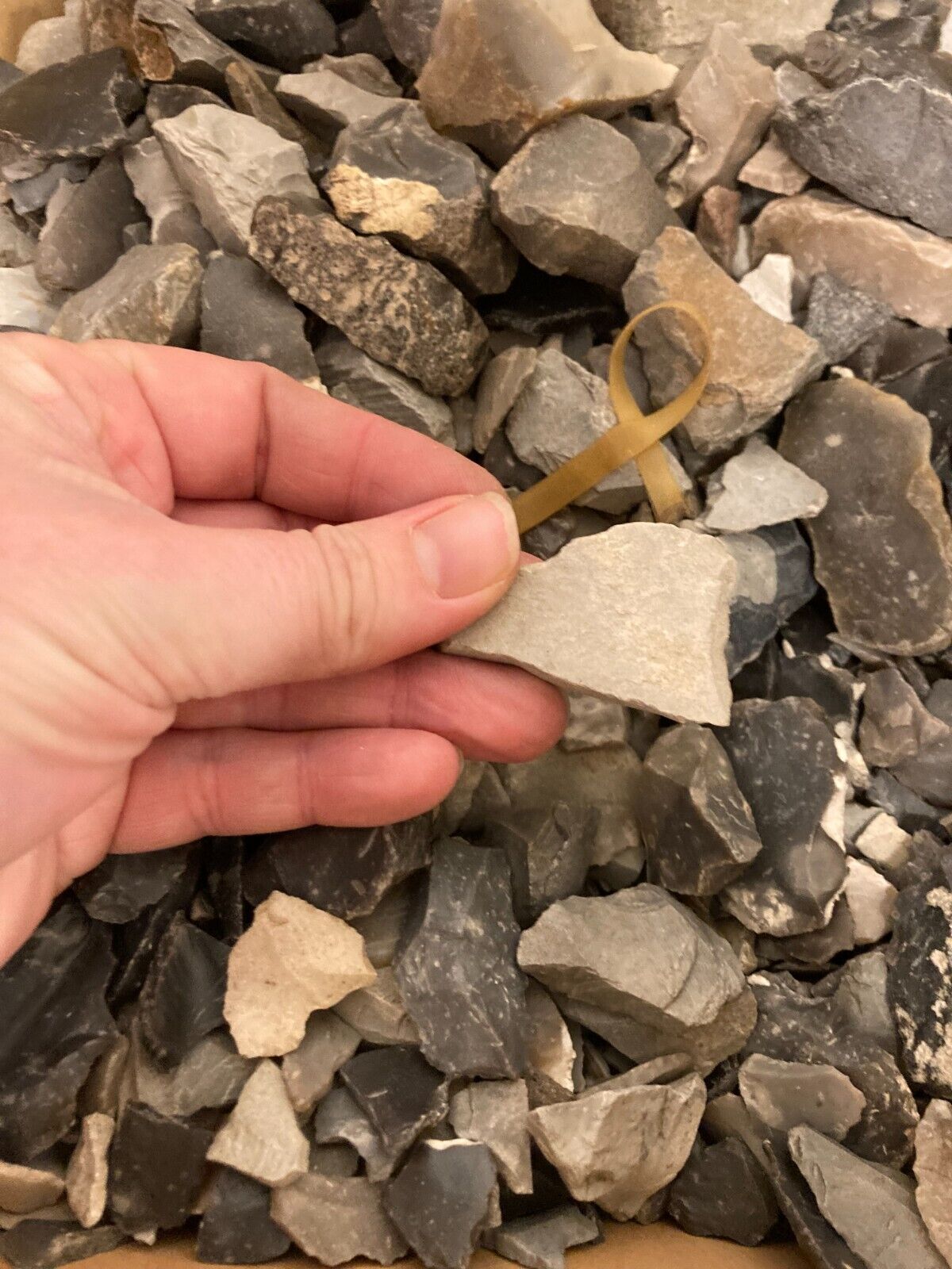 Danish Ertebølle Microlith Flint Scrapers Authenticated by Torben B Bernhardsen