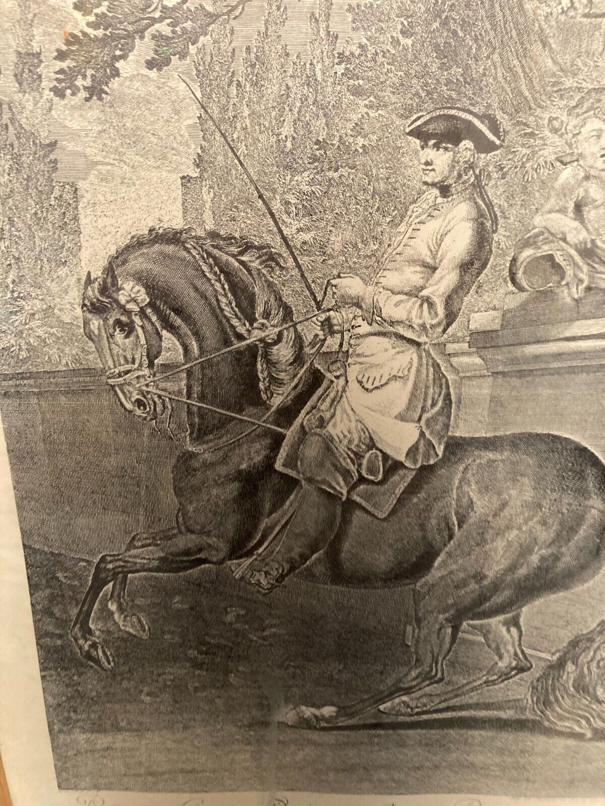 Johann Elias Ridinger Parade du cheval trottant à gauche L46cm H65 Glass Framed