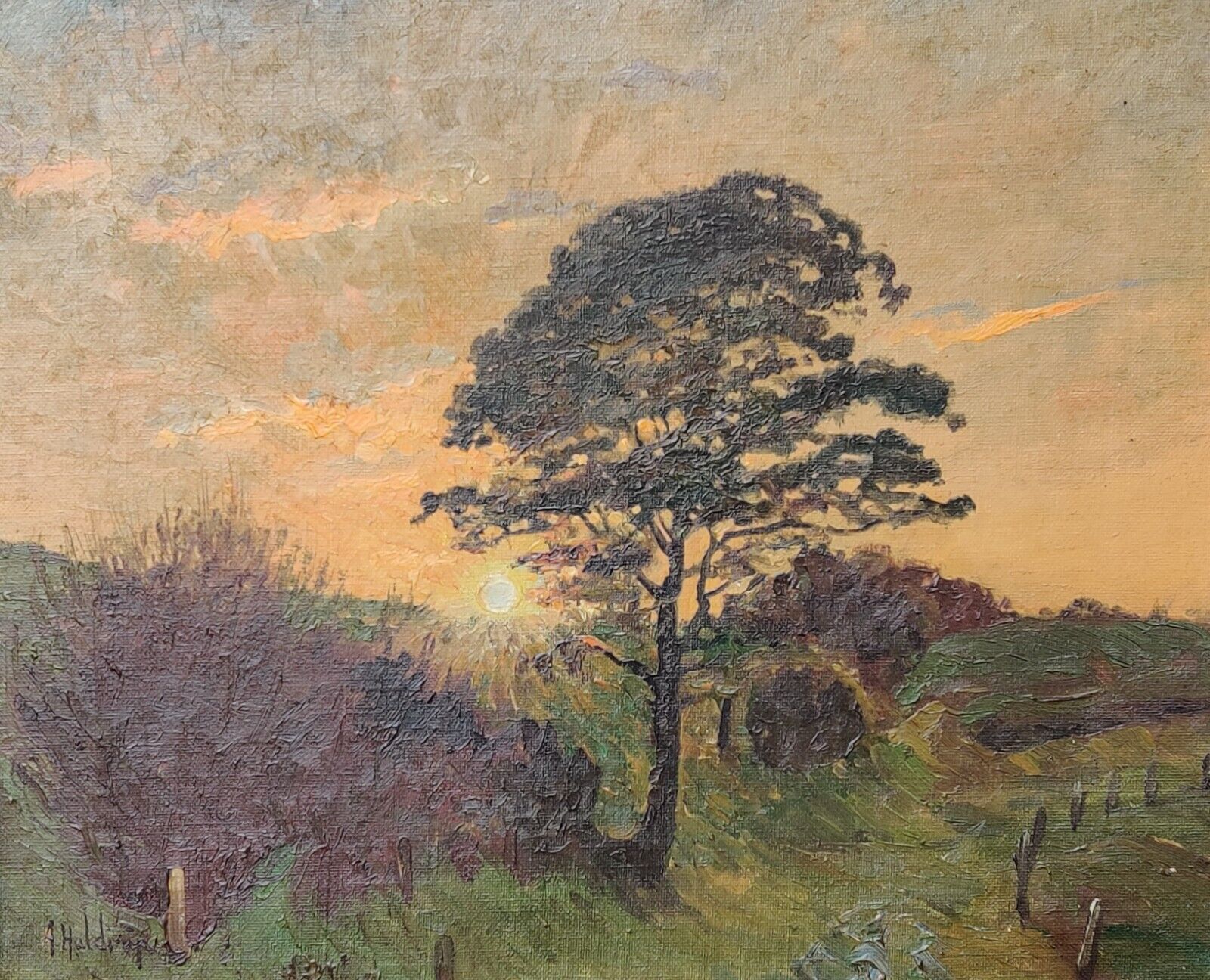 Axel Haldrup (1890-1977): SUNSET BEHIND TALL TREE Original oil