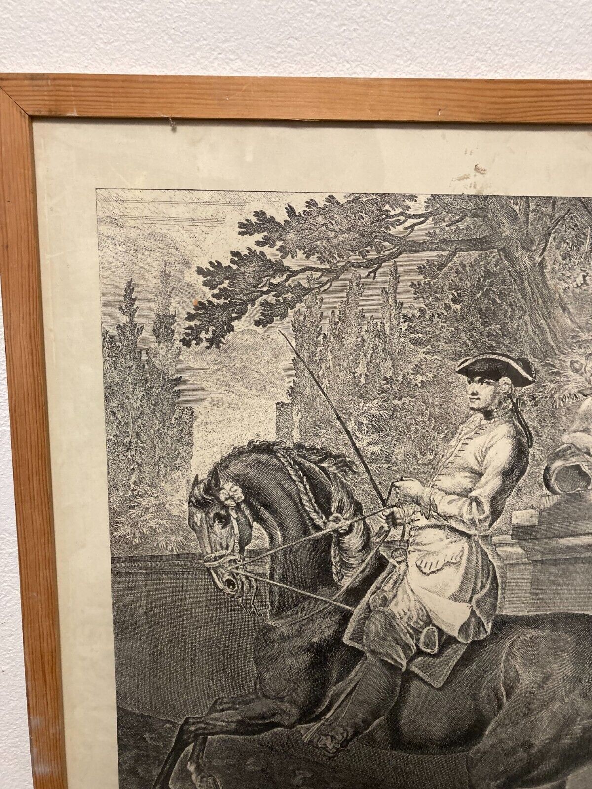 Johann Elias Ridinger Parade du cheval trottant à gauche L46cm H65 Glass Framed