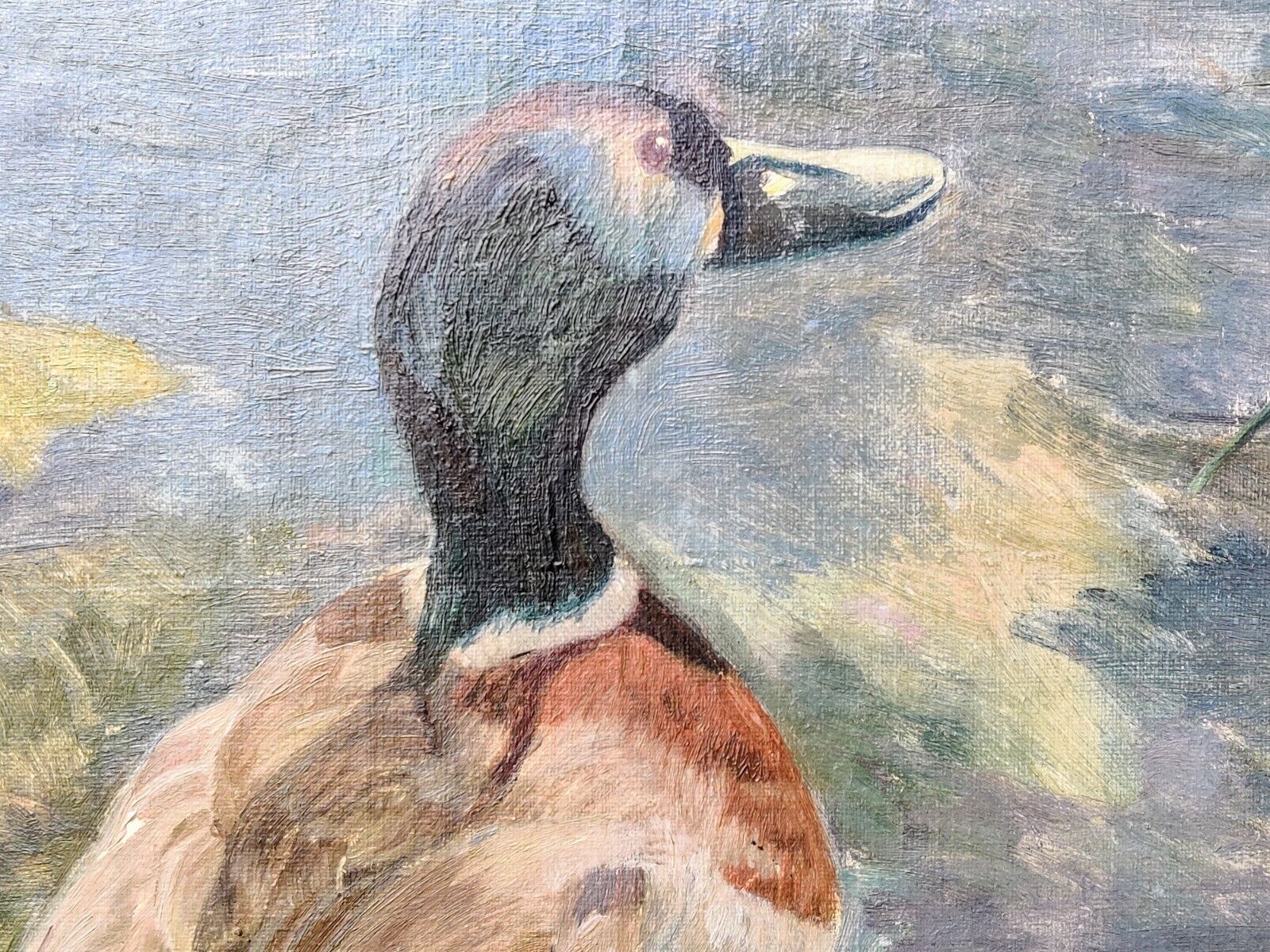 Agnete Kip Glob (1899-1954): DRAKE MALE DUCK