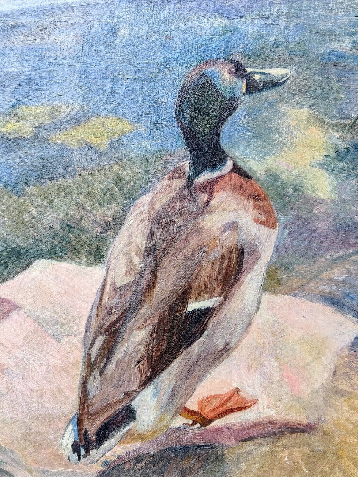 Agnete Kip Glob (1899-1954): DRAKE MALE DUCK