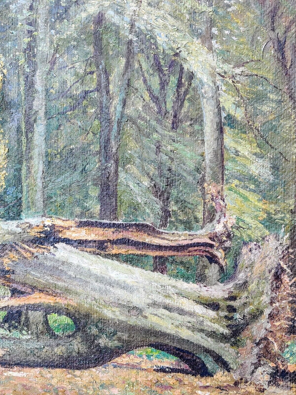 K Dorph Hansen (XIX-XX): FALLEN TREE original oil painting!