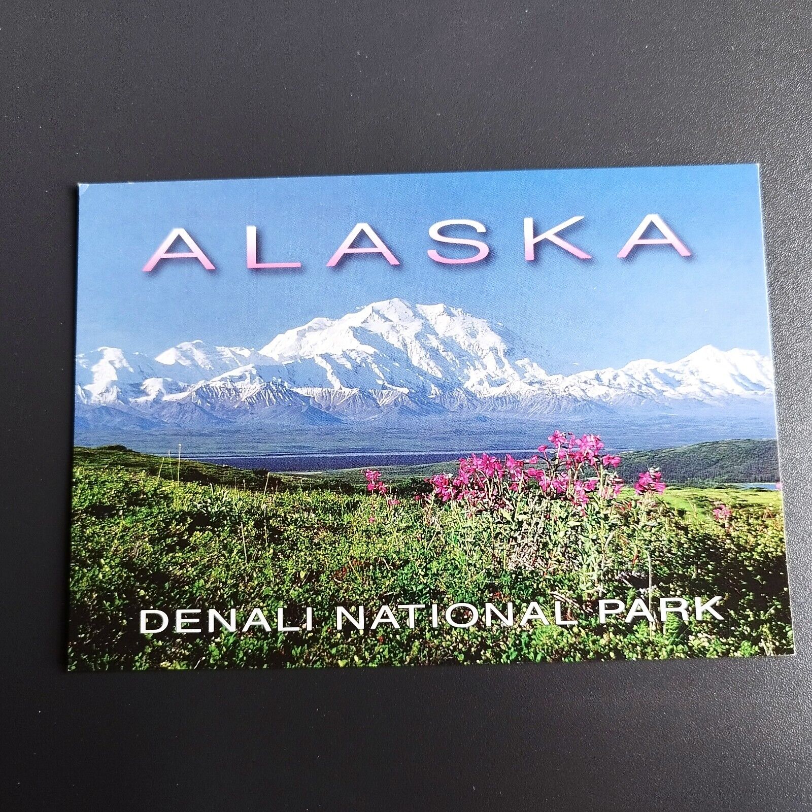 Postcard Alaska  Denali National Park ( P46)