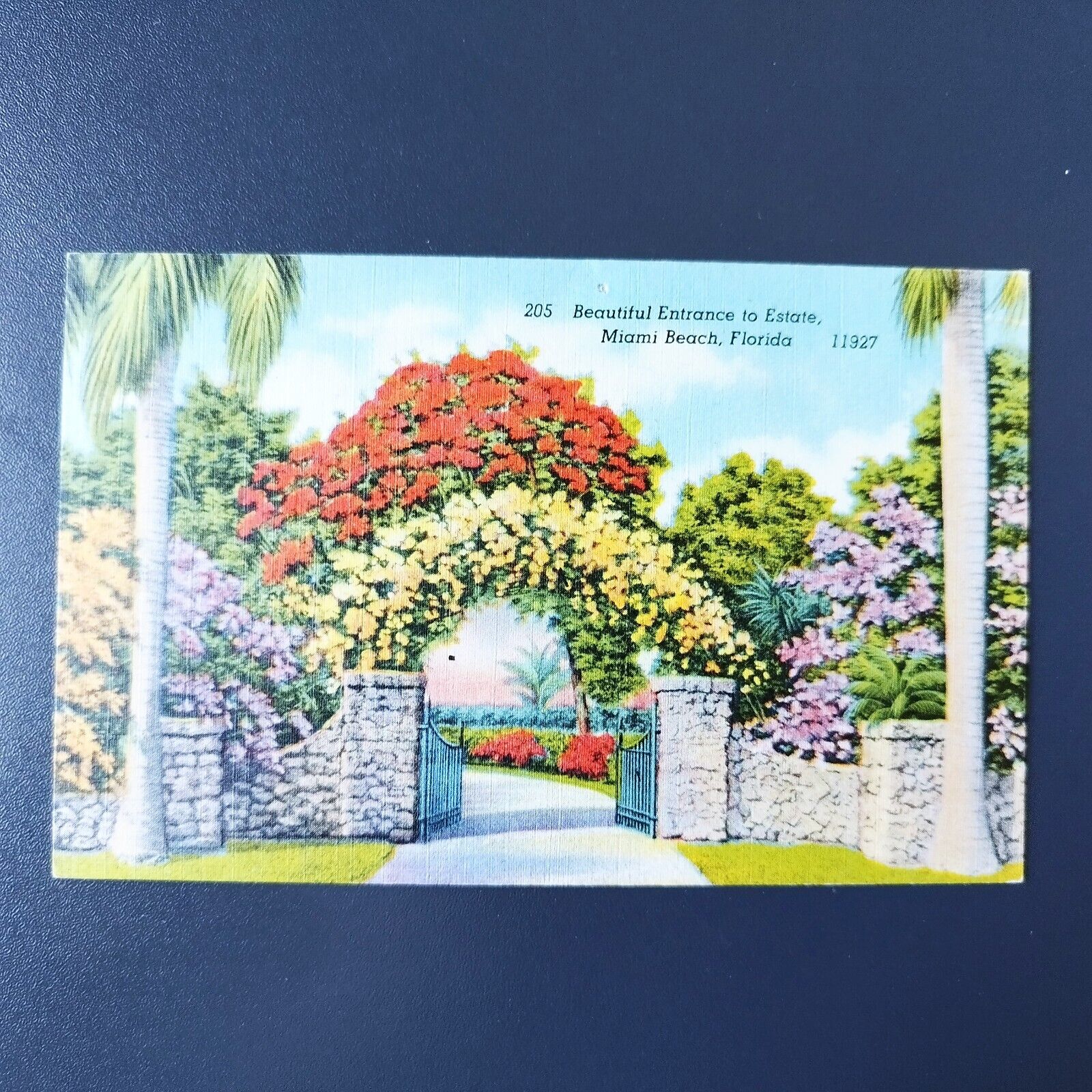 Florida Beautiful Entrance to Estate Miami Beach -11927