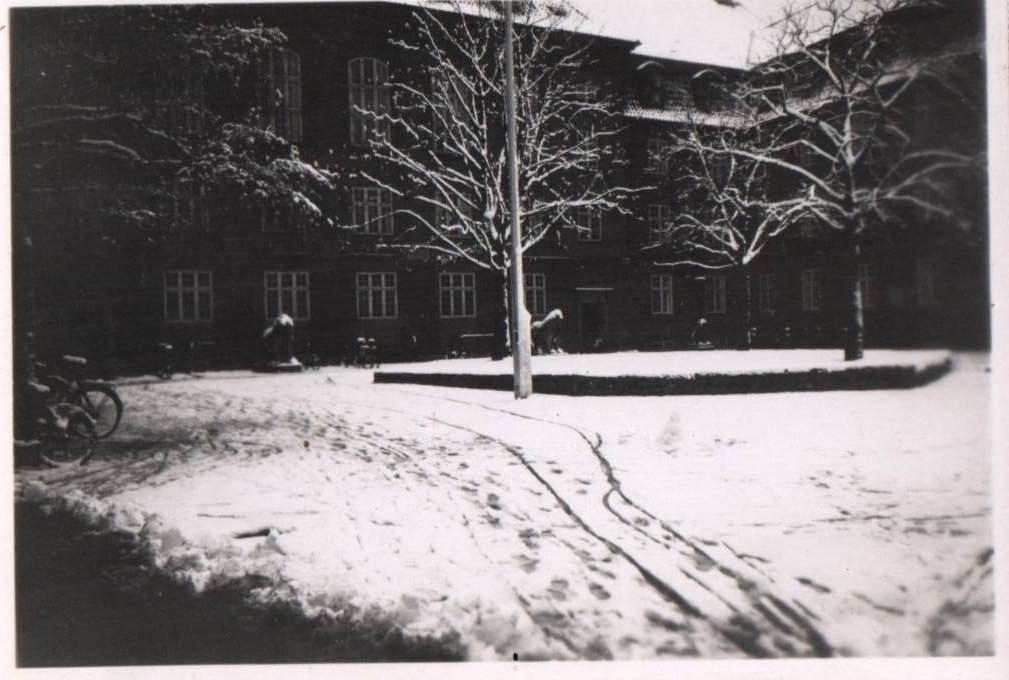 Trees Backyard Life in Denmark 1900 - 1950s Rare Vintage Photo Small Size 9x6cm