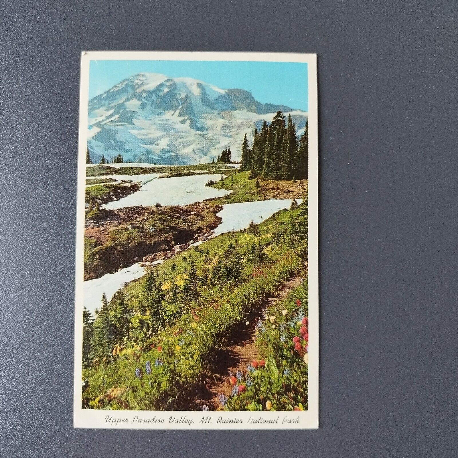 Washington Upper Paradise Valley Mt Rainier National Park  Posted 1968