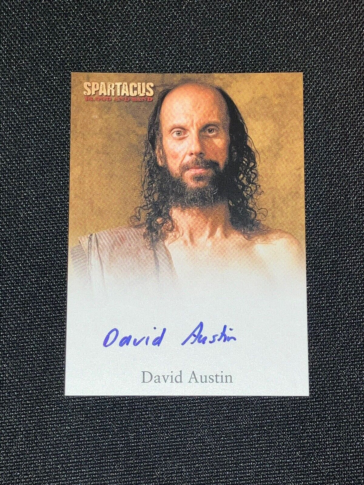 Spartacus Blood and Sand Autograph Card Signed by David Austin as Medicus