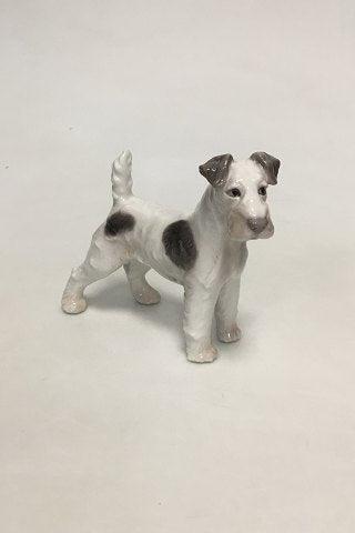 Bing  Grondahl Figure of the Wirehaired Foxterrier No 1998