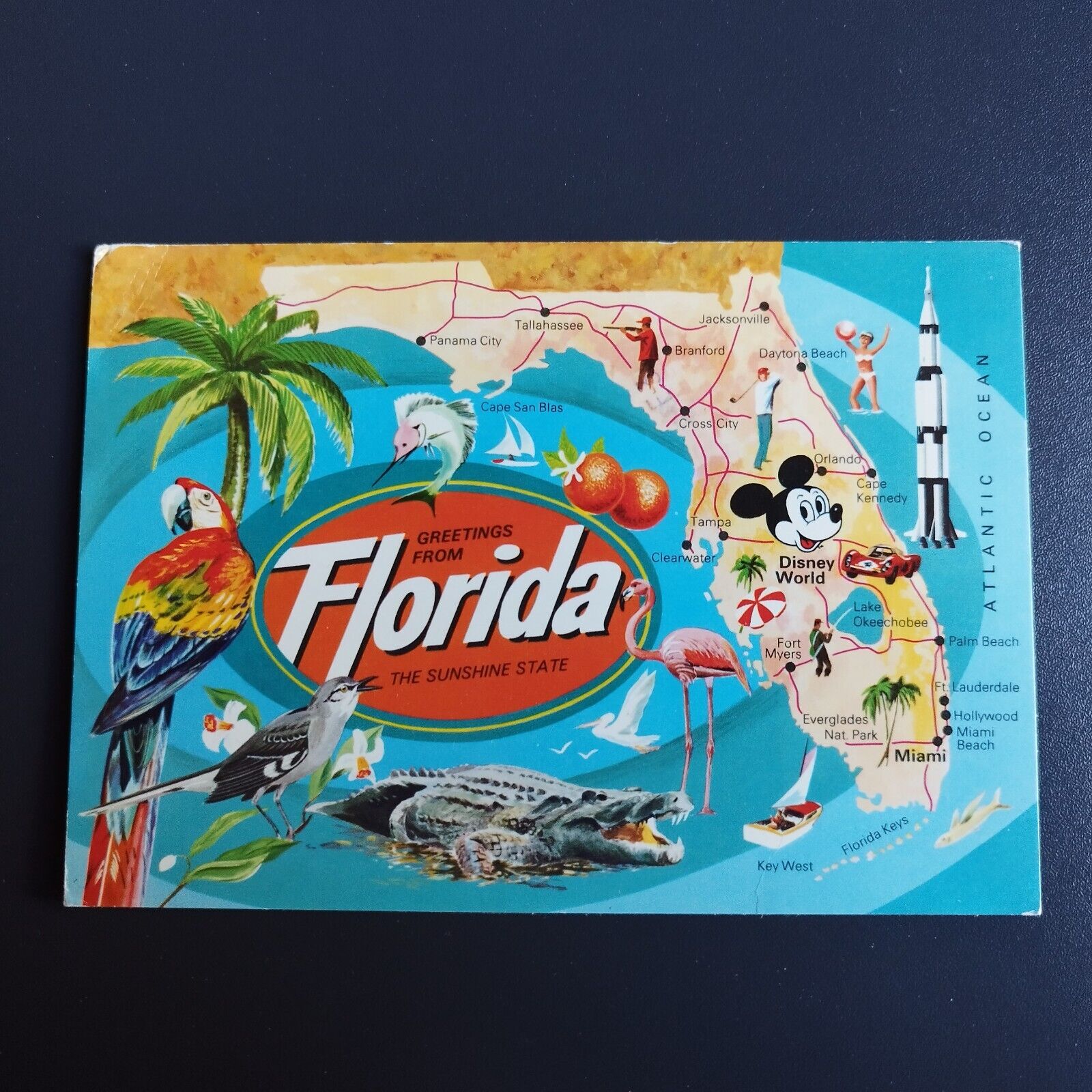 Florida Greetings from Florida The Sunshine State Posted in 1982