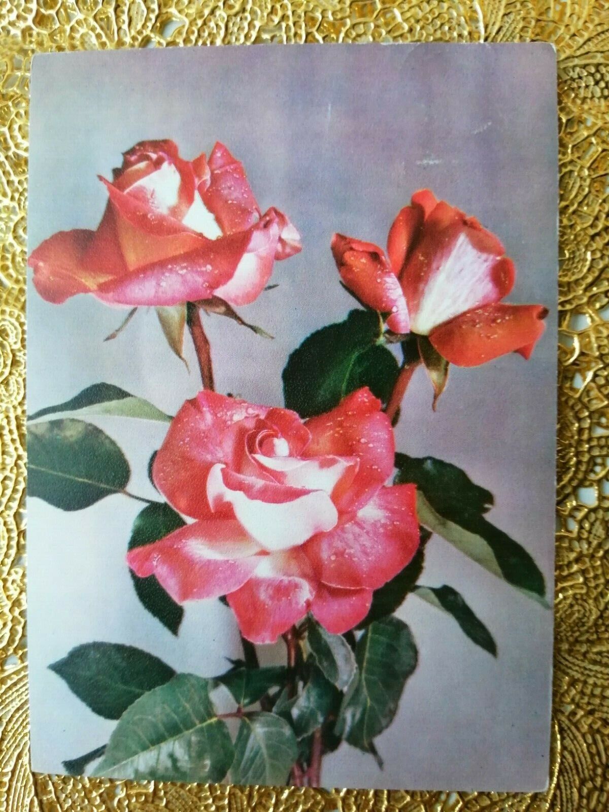 Vintage and collectible Danish flower postcard Posted in 1978 ( No A  26 )