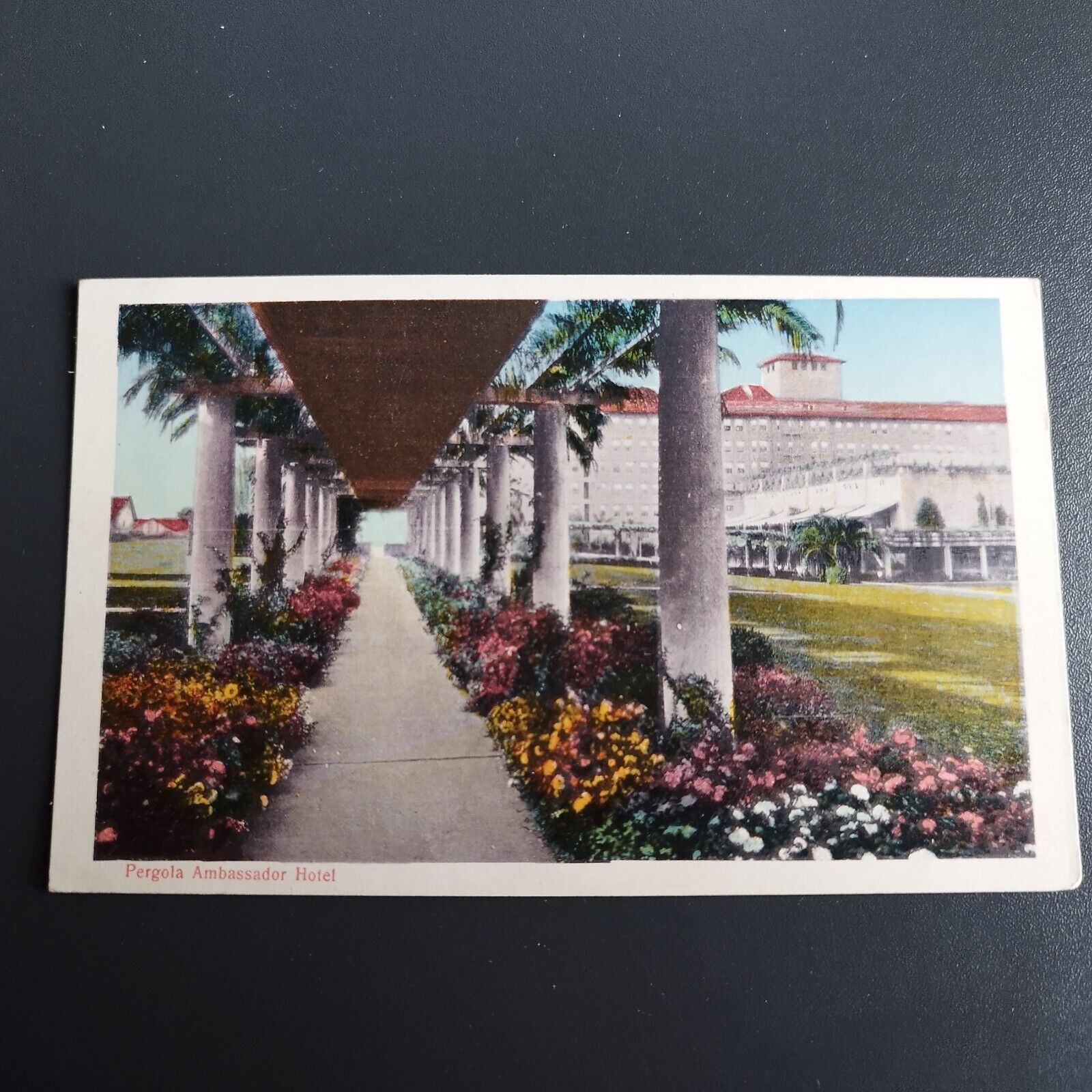 California Pergola Ambassador Hotel Los Angeles Vintage