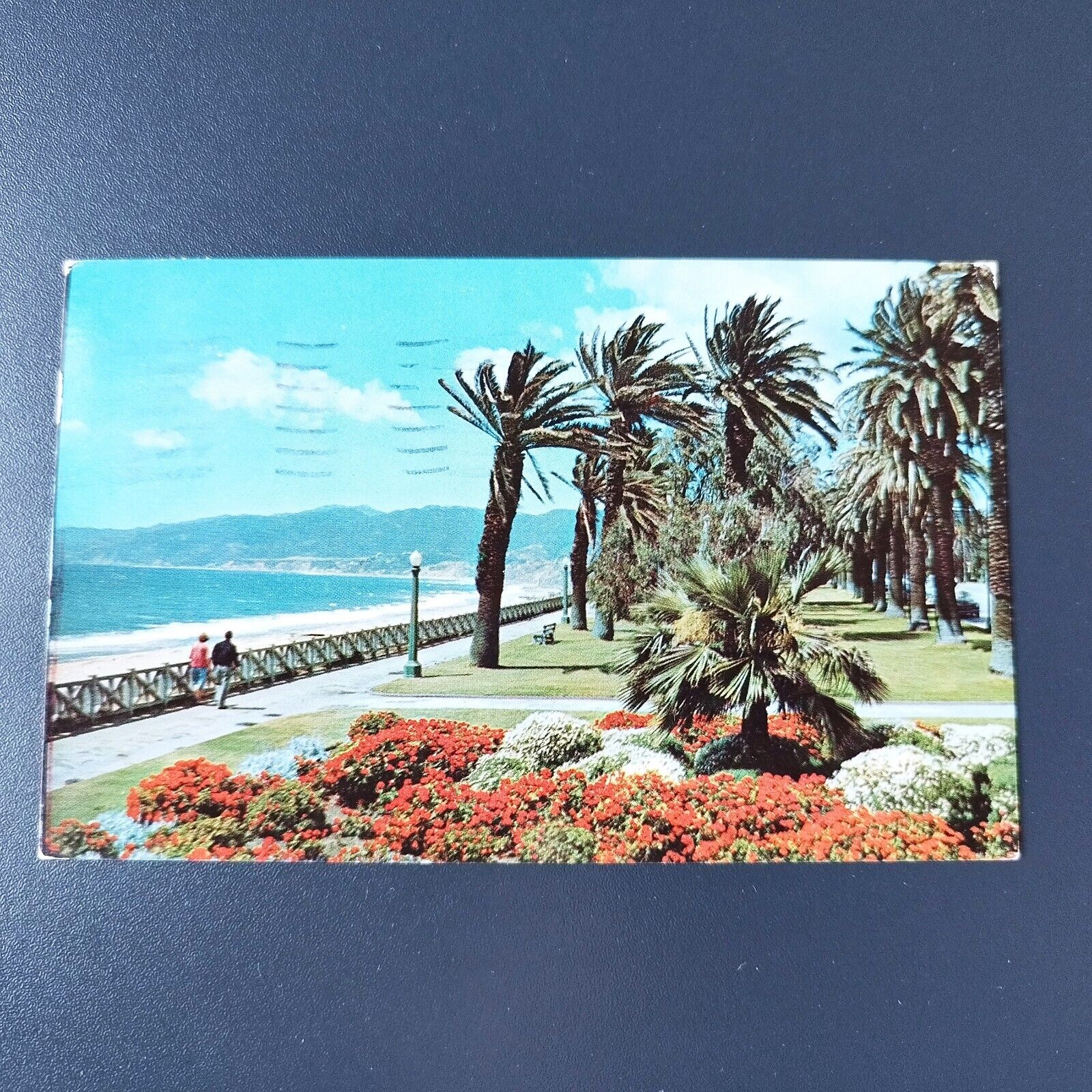 California Palisades Park Santa Monica Posted in 1956