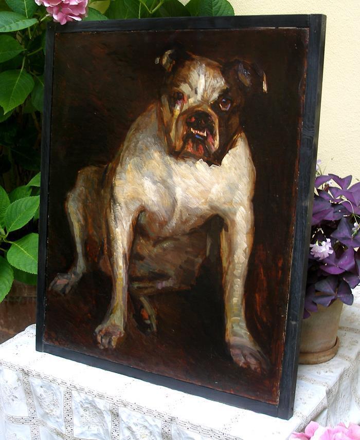 Outstanding antique dog portrait Samson Victorian Bulldog Ca 1880 Must see!