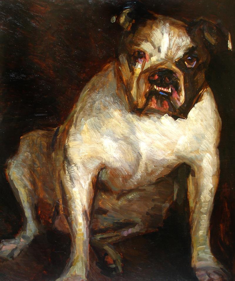 Outstanding antique dog portrait Samson Victorian Bulldog Ca 1880 Must see!