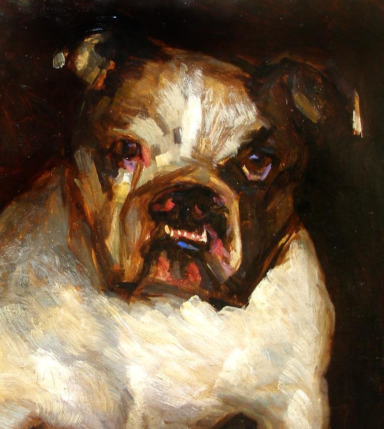 Outstanding antique dog portrait Samson Victorian Bulldog Ca 1880 Must see!