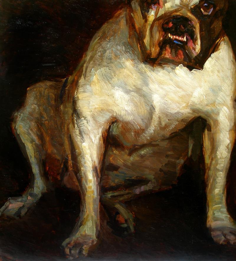 Outstanding antique dog portrait Samson Victorian Bulldog Ca 1880 Must see!