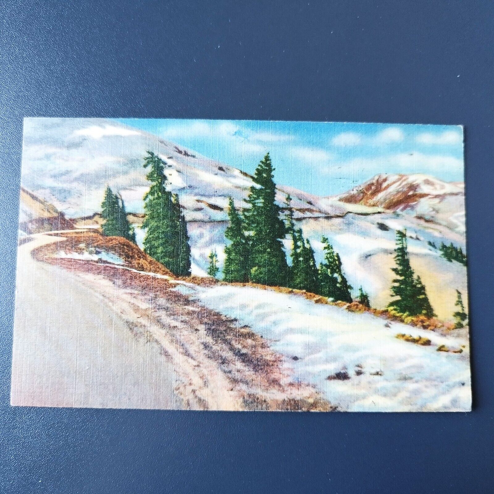 Colorado Timberline in the RockiesLoveland Pass Elevation 11992 feet 1952