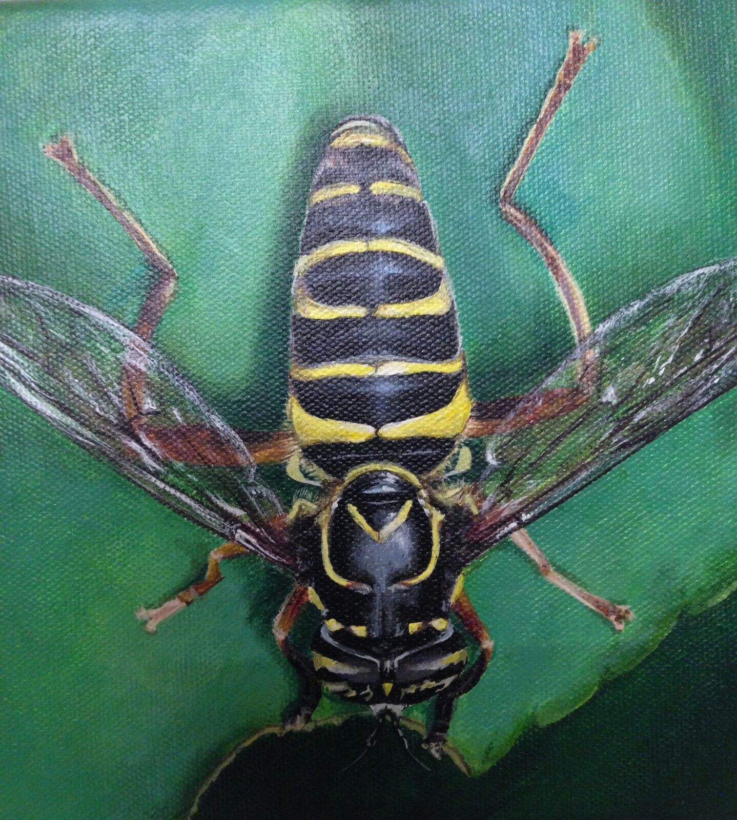 WASP - oil painting - low shipping