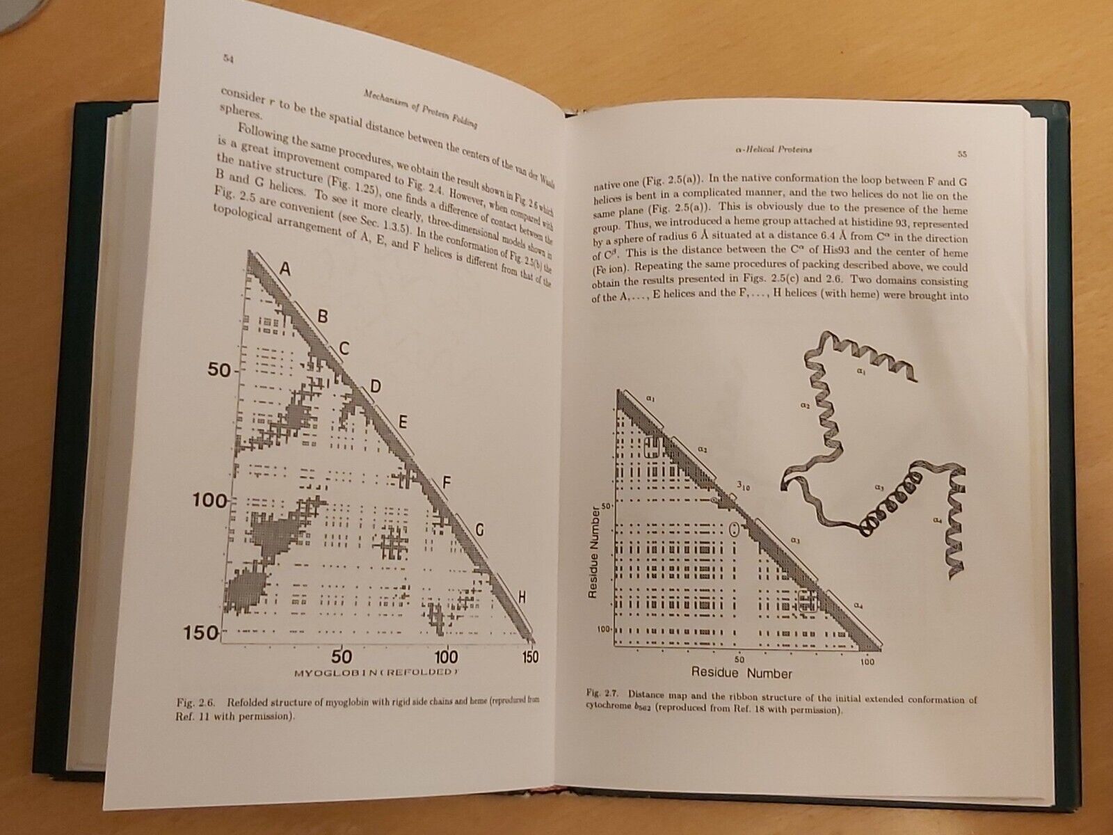 Physical Foundation of Protein Architecture (HC 2001)