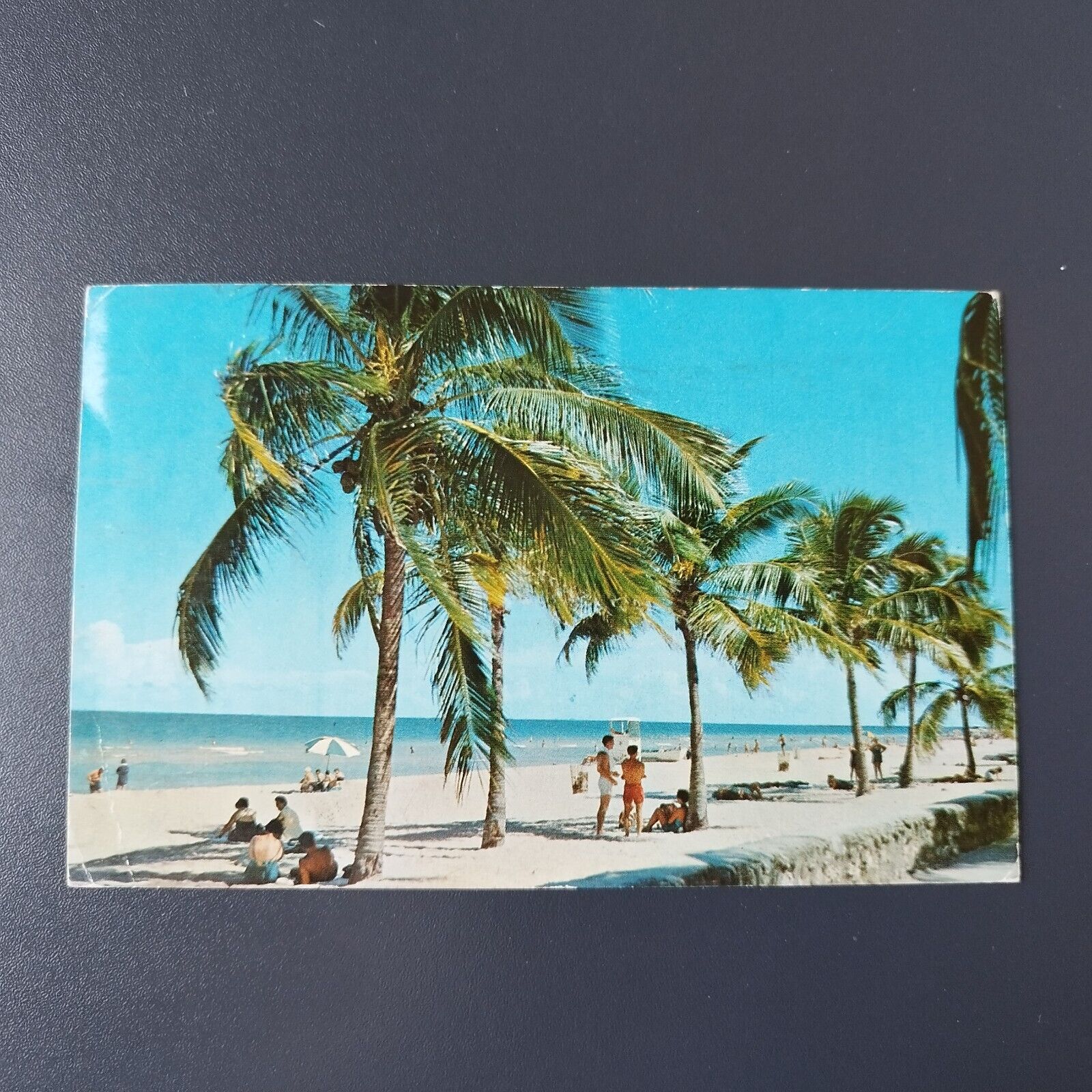 Florida Coconut palms and golden sands A typical Florida beach scene 1957