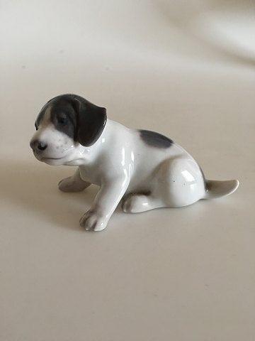 Royal Copenhagen Figurine Pointer Puppy No 1311 pre 1923