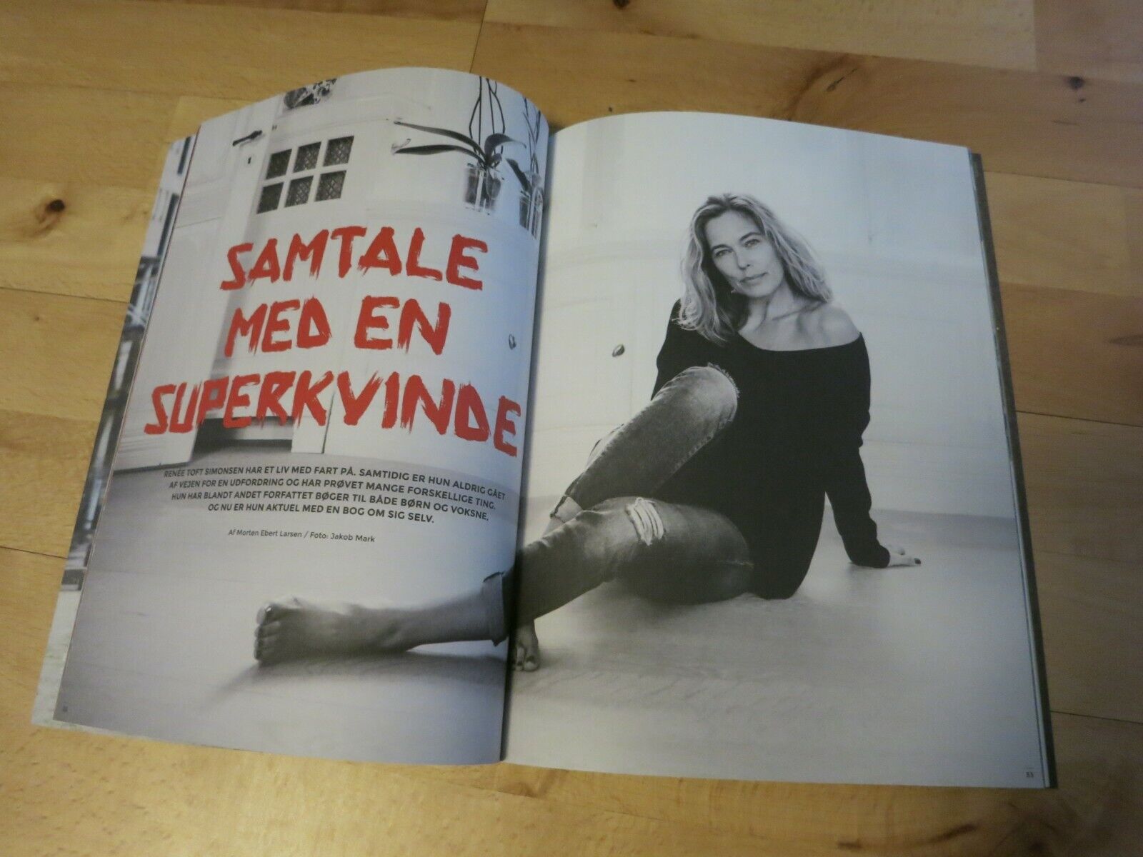 Danish Magazine RENEE TOFT SIMONSEN Panorama 2014 (#14)