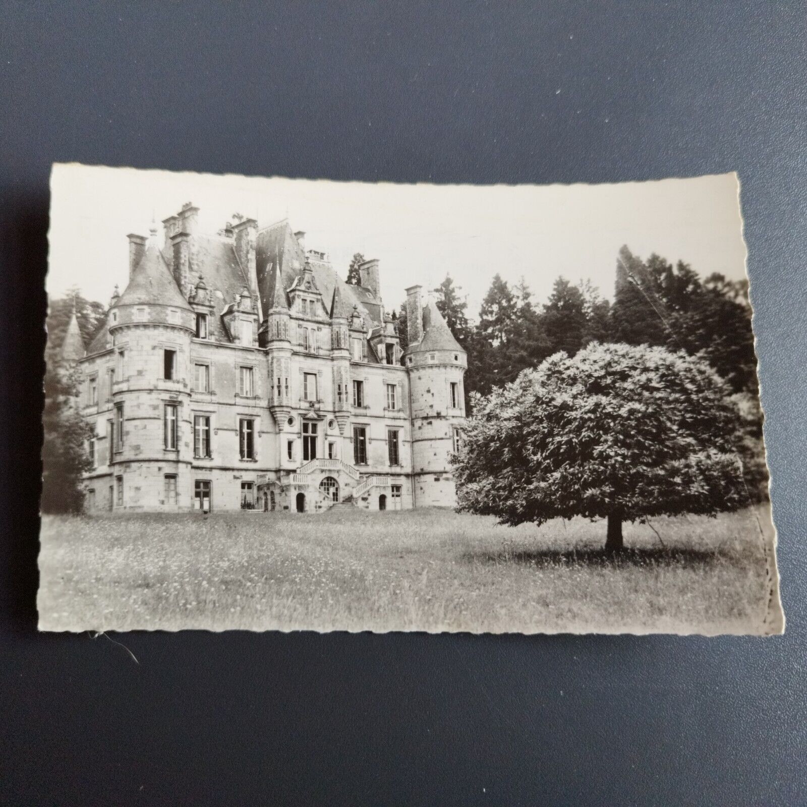 FRANCE 13 vintage postcards Bagnoles-de-l'Orne