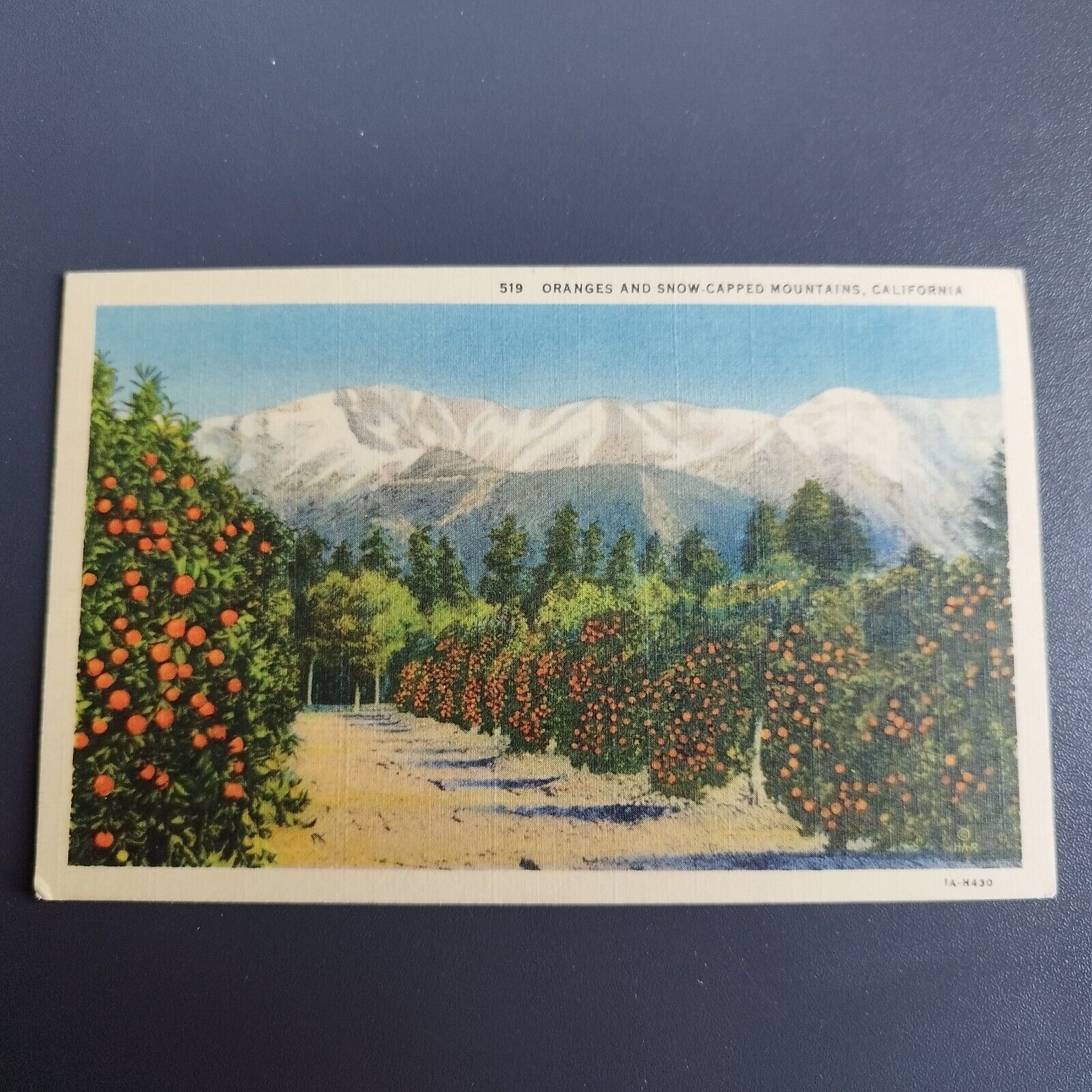 California (519) Oranges And Snow Capped Mountains