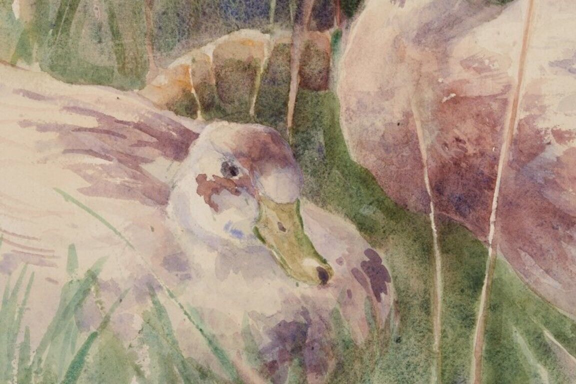 John Murray Thompson Watercolor on paper  Ducks in a landscape