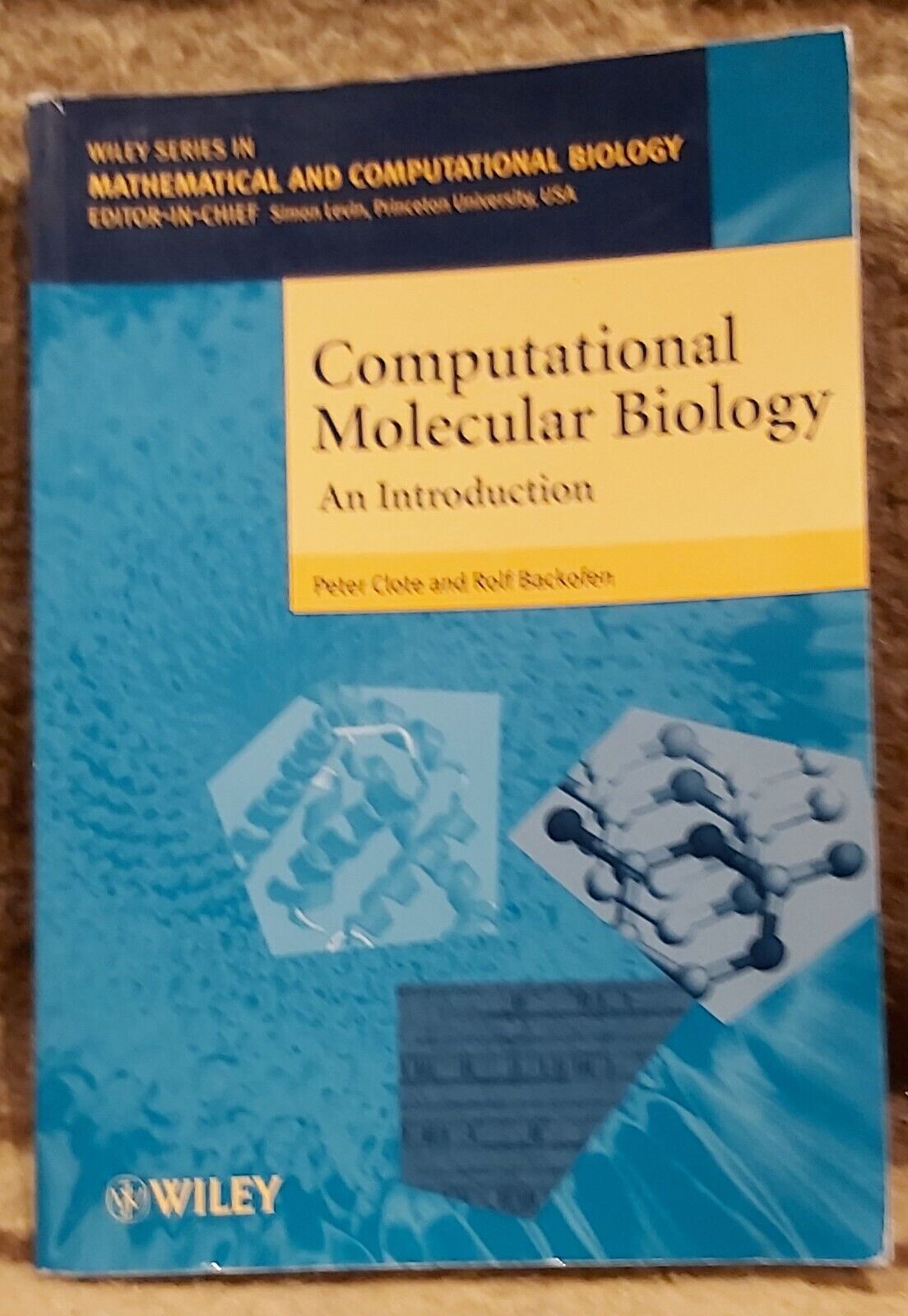 Computational Molecular Biology - An Introduction