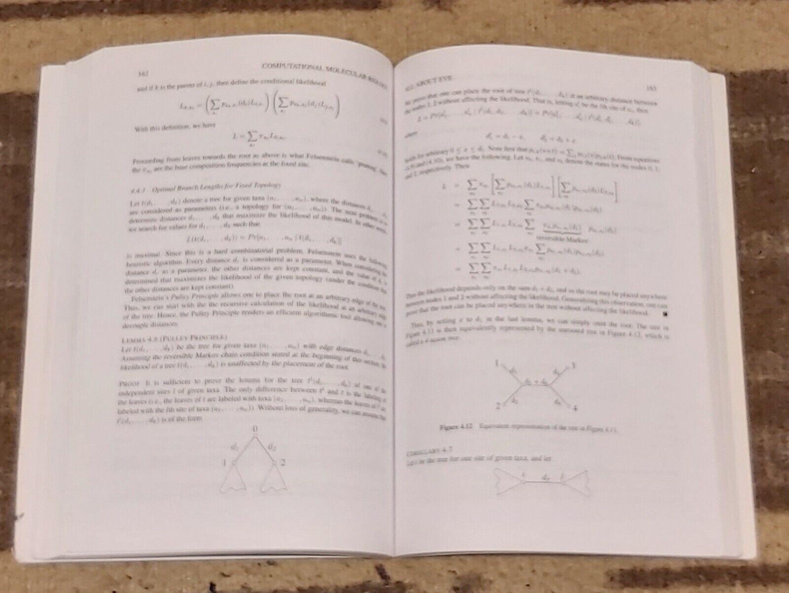 Computational Molecular Biology - An Introduction