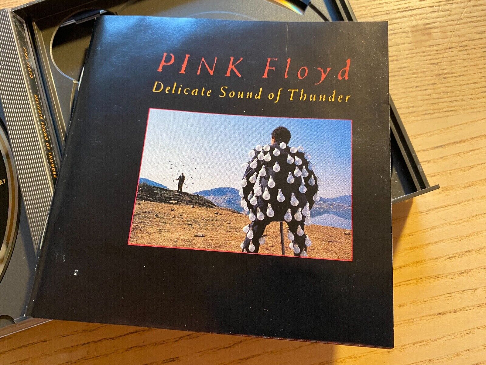 PINK FLOYD "DELICATE SOUND OF THUNDER" 1988 2 X CD SET EMI RECORDS 2 X CD SET***