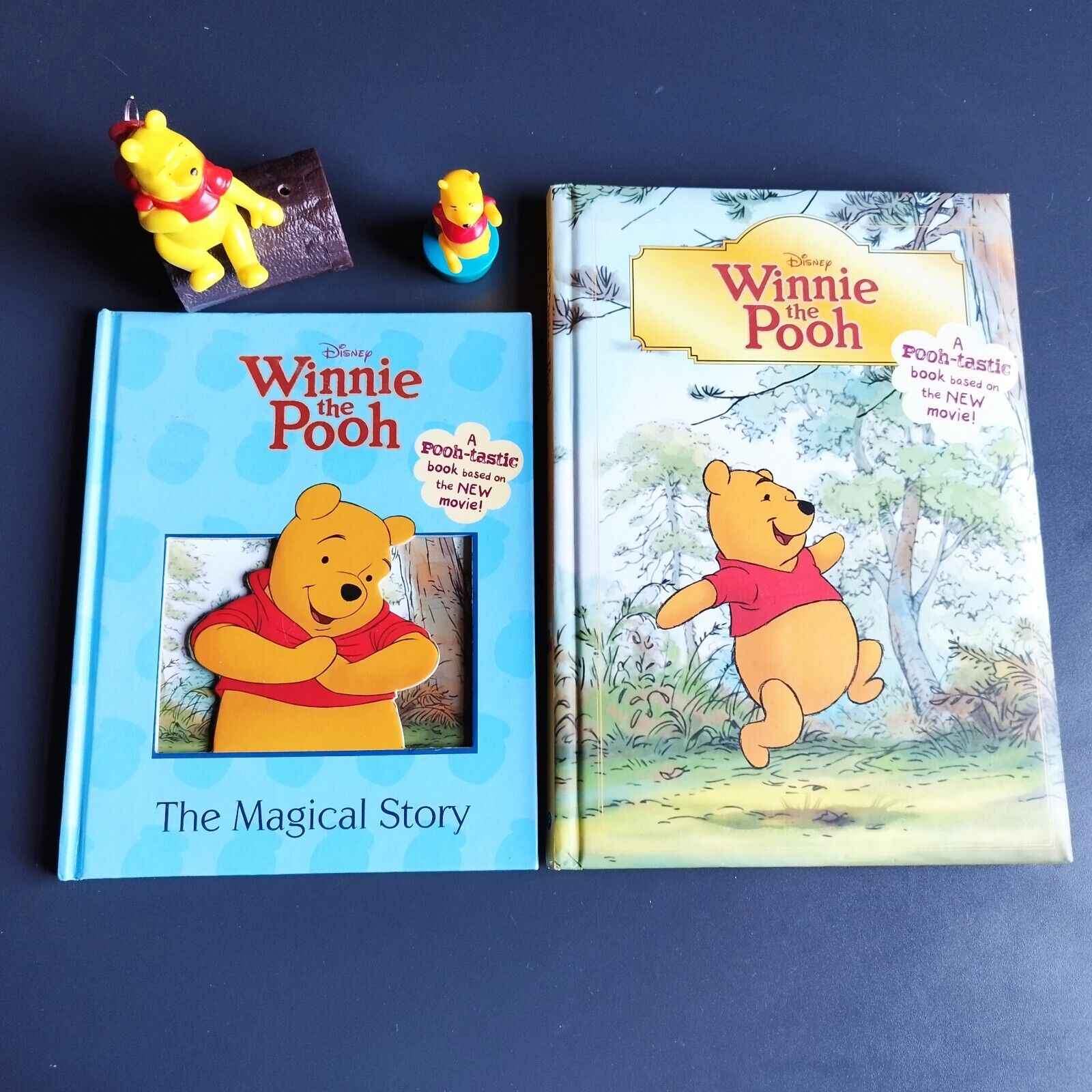 English 2 Winnie the Pooh childrens books  Disney